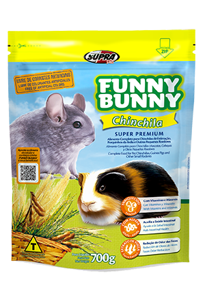 Funny Bunny – Alisul - Alisul