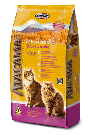 Atacama Cats Sterilized – Alisul - Alisul