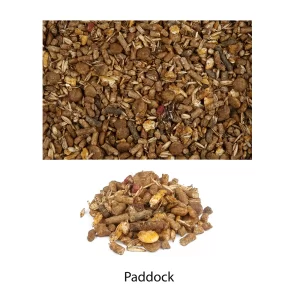 racao-paddock-para-equinos