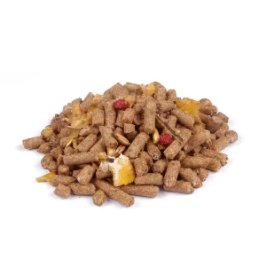 racao-procavalo-melaçado-para-equinos