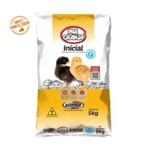 progranja-inicial