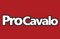 Procavalo