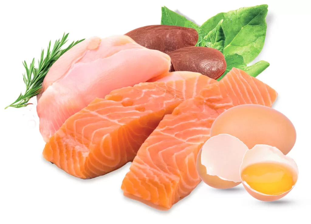 frost-mix-proteinas