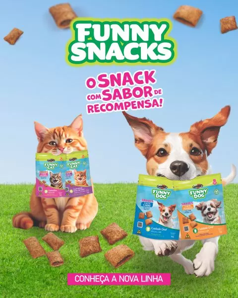 snacks recheados