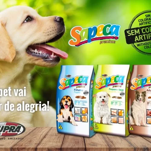 card-sapeca-livrecorante