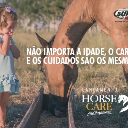 lancamento_horse_care_blog