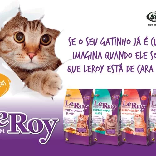 novo_leroy_site